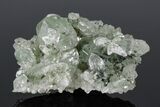 Anatase Crystals on Quartz with Chlorite Inclusions/Phantoms #176820-2